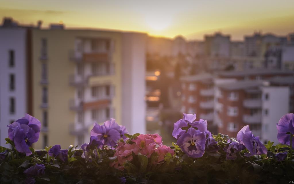 A Nice Place To Stay Apartments Прага Номер фото